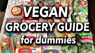 BUDGET FRIENDLY VEGAN GROCERY GUIDE FOR BEGINNERS  Vegan Grocery Haul [upl. by Eicnahc58]