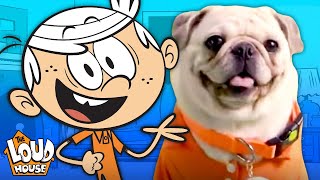 The Pugs amp Louds Team Up for an Opening Theme Song 🎵  The Loud House [upl. by Aynotak994]