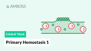 Primary Hemostasis  Part 1 Platelet Adhesion [upl. by Lachance601]