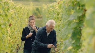 Preview WineMasters France Alsace S1E5 [upl. by Eneluqcaj889]