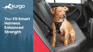 The TruFit Smart Harness Enhanced Strength  Crash Tested Dog Safety Harness [upl. by Tavy]