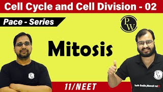 Cell Cycle and Cell Division 02  Mitosis  Class 11  CBSE  NCERT  NEET [upl. by Pancho]