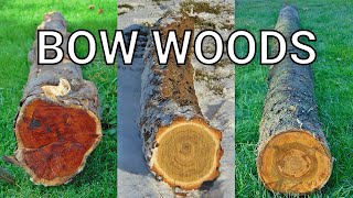 What Wood to Use for Bow Making [upl. by Seema]