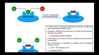 Basics of Drug Interactions EXPLAINED  Inhibition amp Induction [upl. by Quar]