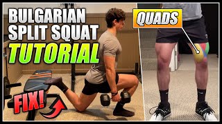 How to do the BULGARIAN SPLIT SQUAT  2 Minute Tutorial [upl. by Clemence]