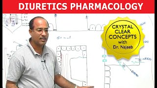 Diuretics  Pharmacology  Dr Najeeb [upl. by Roybn]