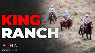 King Ranch Wins Top AQHA Honor [upl. by Nnaesor]