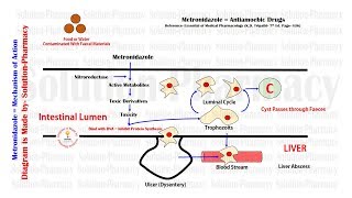 Antiamoebic Drugs  Metronidazole Mechanism of Action  Antiamoebic Drugs  Metronidazole Drug [upl. by Hall]