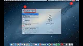 How to check Saved Passwords On Your MacBook [upl. by Jolynn]