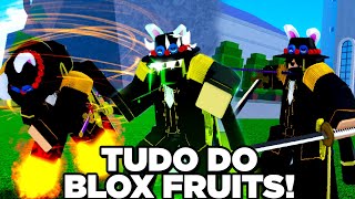 TUDO DO BLOX FRUITS ITENSESPADASARMASRAÇAS [upl. by Arty853]