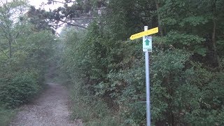 Hiking in Mödling Austria [upl. by Anaihk]