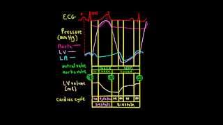 Schneid Guide to Wiggers Diagram [upl. by Ana]