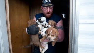 Animal Rescue Team Rescues Hundreds [upl. by Deer726]