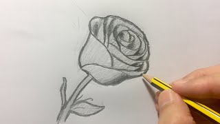 Cómo dibujar una rosa paso a paso [upl. by Torbert920]