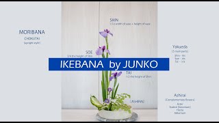 Ikebana Lessons Episode 1  Moribana Chokutai [upl. by Chrisman691]