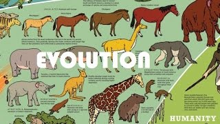 Evolutionary history of life on Earth in 5 minutes [upl. by Alebasi]