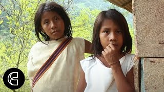 The Wiwa  An Indigenous Tribe in the Colombian Mountains [upl. by Lednahc]