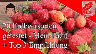 Welche Erdbeersorte ist die Beste 20 Sorten getestet [upl. by Gratia]