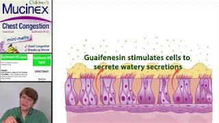 Expectorants Guaifenesin [upl. by Suchta]