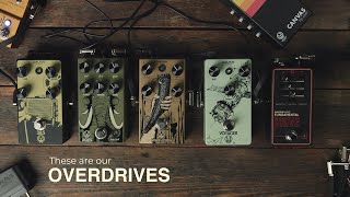 Walrus Audio Overdrive Comparison [upl. by Veradi]