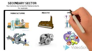 Economic Sectors [upl. by Nwahsar]