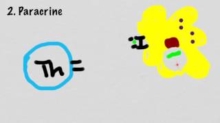 Mechanisms Of Cytokine Signaling [upl. by Timi804]