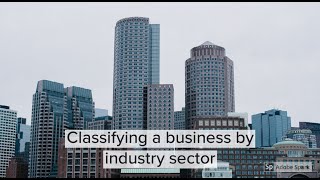 Industry Sectors explained  Classifying businesses based on industry sectors [upl. by Elleunamme]