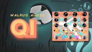 Walrus Audio  Qi Demo [upl. by Anneres]