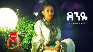 Endashaw Shenkut  Denye  ደንዬ  New Ethiopian Music 2020 Official Video [upl. by Anileva226]