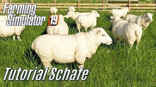 LS19 Schafe Tutorial  für Einsteiger [upl. by Aenotna]