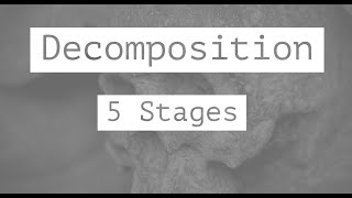 5 Stages of Decomposition [upl. by Yelyr]