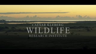 The Caesar Kleberg Wildlife Research Institute [upl. by Euqinamod]