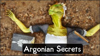 Skyrim 5 Things They Never Told You About Argonians [upl. by Kliber]