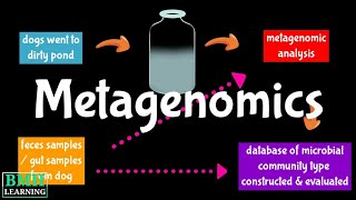 Metagenome  Metagenomics  Metagenomics Workflow [upl. by Koppel]