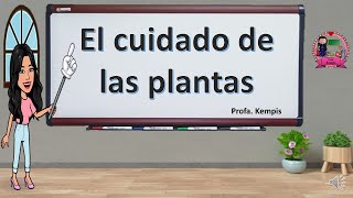 Cuidado de las plantas [upl. by Isa667]