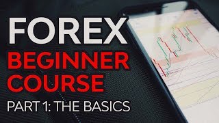 Forex Beginner Course Part 1  Forex Foundation [upl. by Blanca587]