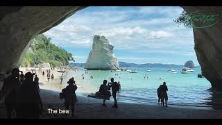 Cathedral Cove  A New Zealand Must Do  Coromandel  Traveller [upl. by Gaulin853]