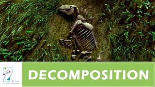 DECOMPOSITION  PART 02 [upl. by Jean]