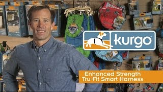 Kurgo Enhanced Strength Dog Car Harness [upl. by Daugherty]