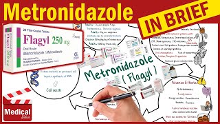 Metronidazole  Flagyl  What is Metronidazole Used For Dosage Side Effects amp Precautions [upl. by Ahtabat]