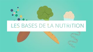 Les bases de la nutrition [upl. by Aimal23]