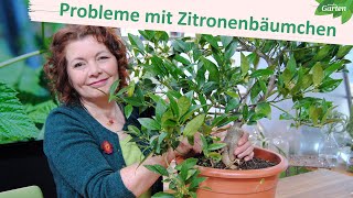 Probleme mit Zitronenbäumchen Wenn Blüten und Blätter abfallen  MDR Garten [upl. by Acina]