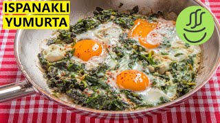 Ispanaklı Yumurta  Yumurtalı Ispanak [upl. by Nyrahs]