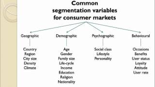 Market Segmentation Introduction [upl. by Yesnik]