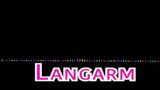 Langarm mix [upl. by Camey]