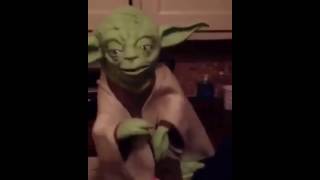 Yoda tells a funny joke meme [upl. by Cimbura]