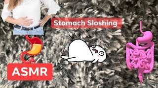 What Stomach Sloshing  Belly Water Sounds Most Requested [upl. by Lelia]