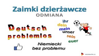 Zaimki dzierżawcze  odmiana  Niemiecki bez problemu  Niemiecki dla początkujących [upl. by Ikila566]