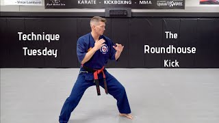 Technique Tuesday  How To The Roundhouse Kick [upl. by Lowrance405]