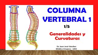 🥇 COLUMNA VERTEBRAL 15  Generalidades Curvaturas Fácil y Sencillo [upl. by Biddy99]